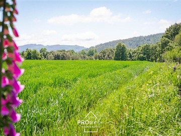 Terreno en venta en Venta Parcelas en Condominio Lomas del Trebol, acceso Ruta 5S, 5.000 m2, Paillaco, Valdivia, Paillaco