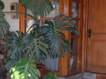 Casa en venta en 28 sur 10 oriente, Maule - 3 dormitorios, 1 baño