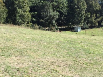 Venta / Parcela / Villarrica