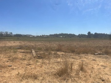 Parcela en venta en Panguilemito, Molina
