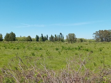 Parcela en venta en Bulnes, Bulnes