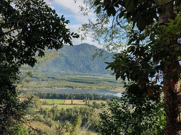 Venta / Parcela / Lago Ranco