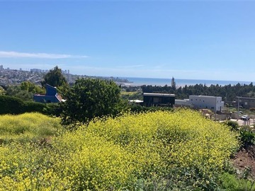 Venta / Sitio / Quintero