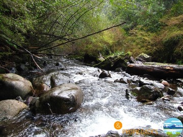 Venta / Parcela / Villarrica