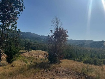 Terreno en venta en hermosa parcela de 5000m2 con rol propio (72497), Yumbel