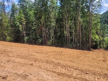 Parcela en venta en Ruta 202, Mariquina