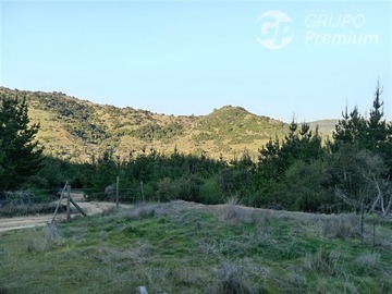 Parcela en venta en Condominio las palmas, Chépica - 4 dormitorios