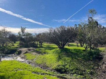 Terreno en venta en En ubicación privilegiada en Catapilco (135842), Zapallar