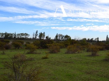 Sitio en venta en "buenavista", la selva, parral, Parral