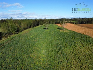 Terreno Agricola en venta en A menos de 2 km de Cañitas, Los Muermos
