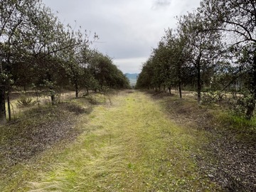 Terreno en venta en Solares de Quepo, Pencahue