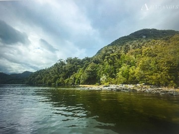 Venta / Parcela / Aysén