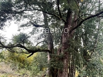 Terreno en venta en Valdivia, Los Guindos, Valdivia