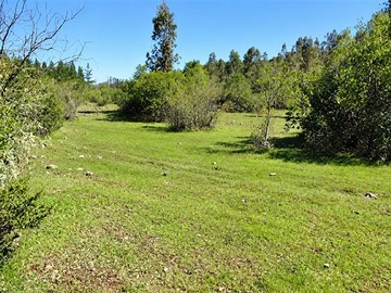 Parcela en venta en Loteo Libueno, San Clemente