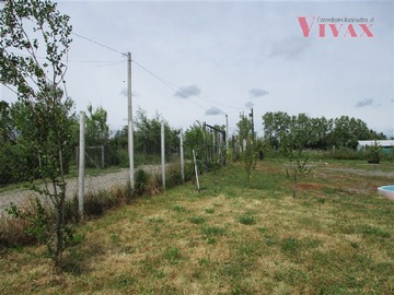 Parcela en venta en Camino Las Tijeras, Coihueco - 3 dormitorios, 2 baños