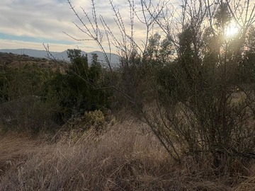 Terreno en venta en Venta Terreno 900m2 Quilpue