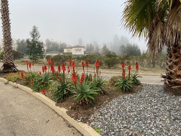 Terreno en venta en Quintay, Casablanca, Región de Valparaíso, Chile, Casablanca