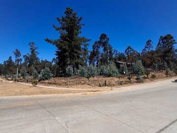 Terreno en venta en Camino Al Totoral, El Quisco, Valparaíso 2700000, Chile, El Quisco
