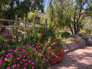 Terreno en venta en Se vende parcela en Sta Sofia de lo Cañas (96790), La Florida - 5 dormitorios, 5 baños