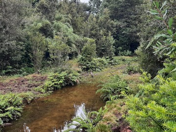 Parcela en venta en La poza, Puerto Varas