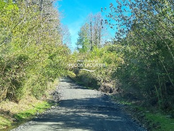 Terreno en venta en Parcela en Bosque Los Renovales (169727), Panguipulli