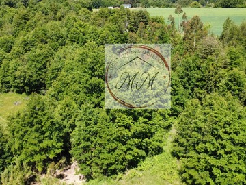 Terreno en venta en km 6.5 camino Tolhuaca, Curacautín