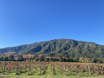 Terreno en venta en Santa Cruz, Millahue, Santa Cruz