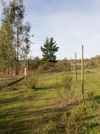 Terreno en venta en Camino Del Medio ,Mirasol, Algarrobo