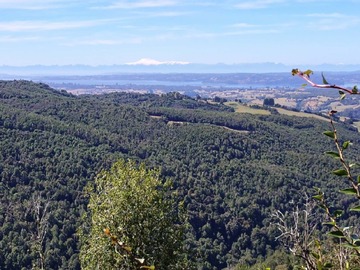 Terreno Agricola en venta en Campo 435 ha en chiloé,oportunidad inversión, gran extensión, Chonchi