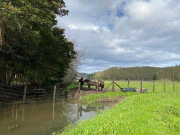 Terreno en venta en Parcelas en Arauco desde $62 millones (139894), Arauco