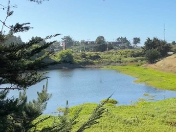 Terreno en venta en Pichilemu terrenos desde 1.000 a 1.300m2 (140629), Pichilemu
