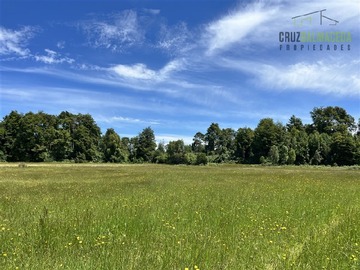 Terreno Agricola en venta en 68 hás a solo 15 minutos del Lago Rupanco, Puerto Octay