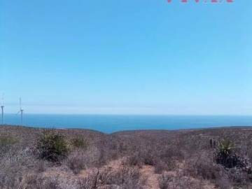 Parcela en venta en Subdivisible en 0,5 ha, Canela