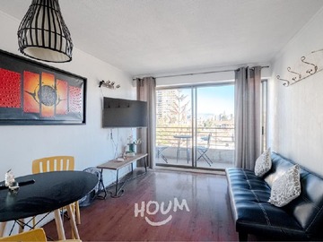 Departamento en arriendo mensual en Río de Janeiro, Recoleta - 1 dormitorio, 1 baño