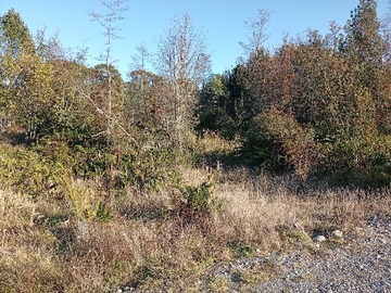 Parcela en venta en Vende Parcela en Loteo, Ruta Hacia Calbuco
