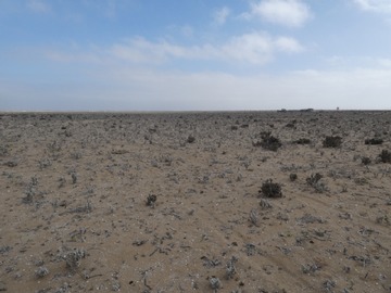 Terreno en venta en La higuera, La Higuera