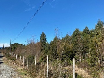 Sitio en venta en Camino a la Colonia kilometro 11,3 , Puerto Montt, Puerto Montt