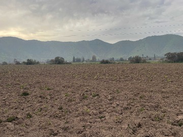 Terreno en venta en Inmobiliaria // Oportunidad (132224), San Bernardo