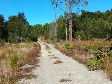 Terreno Agricola en venta en Manao, Ancud
