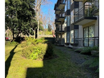 Arriendo Mensual / Departamento / Pucón