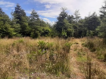 Parcela en venta en Tepual, sector aeropuerto, Puerto Montt