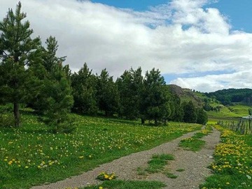 Terreno en venta en Oferta Parcelas Valle Simpson en Venta (172834), Coyhaique