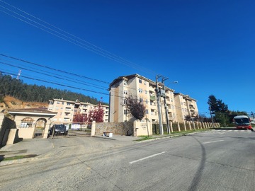 Departamento en arriendo mensual en Departamento 3 dormitorio camino a penco, Penco - 3 dormitorios, 1 baño