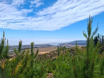 Parcela en venta en curepto, Curepto