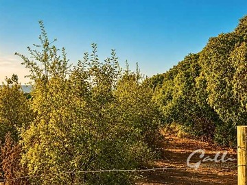 Terreno en venta en Parcela Amplia con Vistas Espectaculares (164224), Quintero