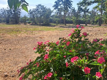 Terreno en venta en Oportunidad! Parcela con derechos de AGUA (152723), Hijuelas