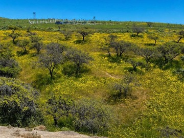 Terreno en venta en Amplia Parcela con Vistas Panorámicas (160161), San Antonio