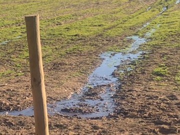 Terreno Agricola en venta en Lo Patricio,Pelarco, Pelarco