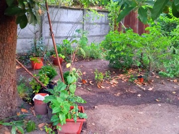 Casa en venta en Avda Argentina - Calle Cocharcas, Chillán - 6 dormitorios, 3 baños