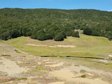 Terreno en venta en Hermoso terreno de montaña, Guadal 295 hás (66810), Chile Chico